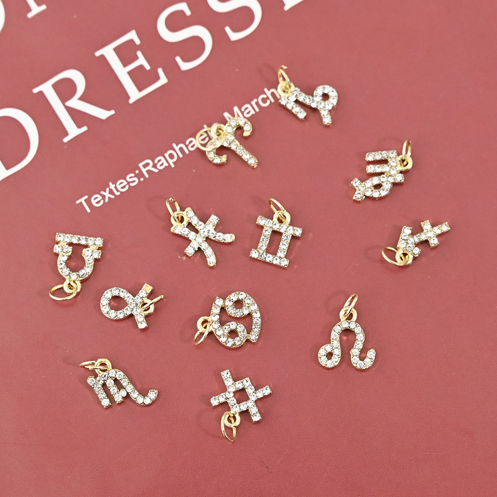 10 Stuks 12 Constellation Dang - Nail Art Xs recensie en prijs